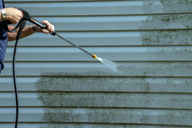 Best Sidewalk and Walkway Cleaning  in Carmi, IL